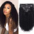 Natural Black Curly Clip-Ins