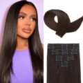 Dark Brown Straight Clip-Ins